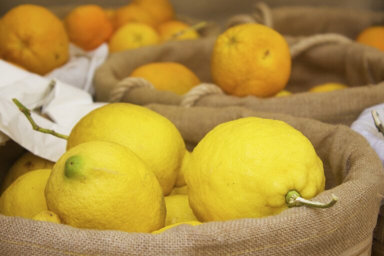 Zitronen auf dem Markt